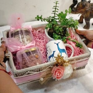 handmade macrame gift basket with dry fruits, mug & plant 🌿💖