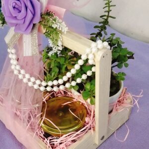 premium pinewood gift hamper with 4 jars & live plant – elegant festive gift